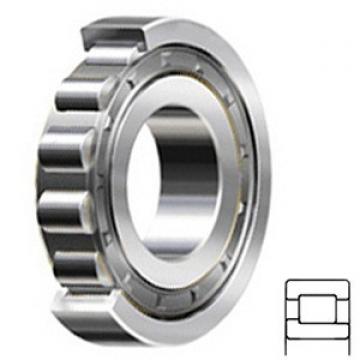 3.937 Inch | 100 Millimeter x 9.843 Inch | 250 Millimeter x 2.283 Inch | 58 Millimeter  CONSOLIDATED BEARING NJ-420 F C/4  Cylindrical Roller Bearings
